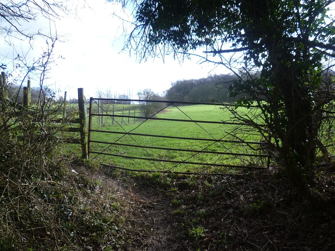Councillors refuse 235-acre New Ash Green solar farm despite £400,000 appeal warning